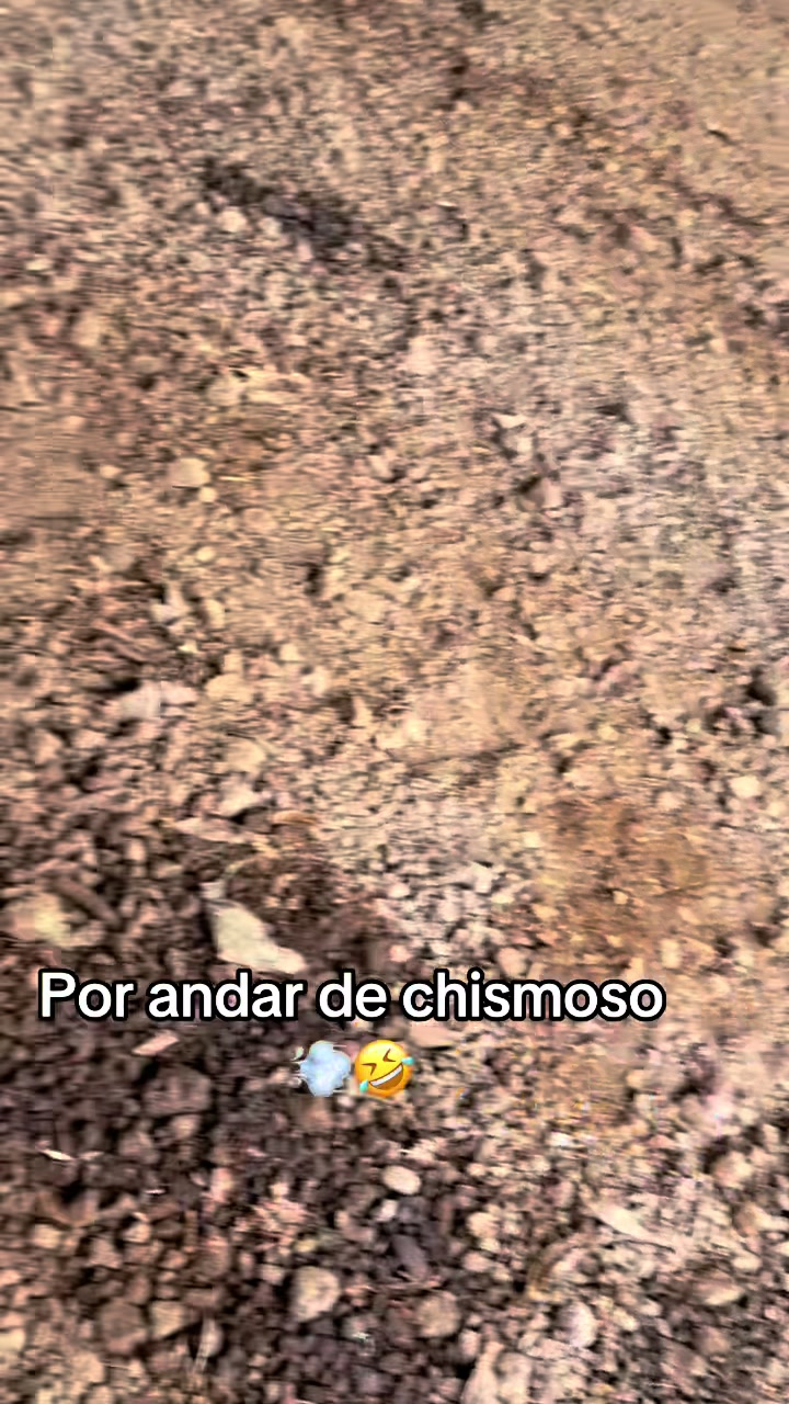 @EL SE&Ntilde;OR DE LOS PEDOS