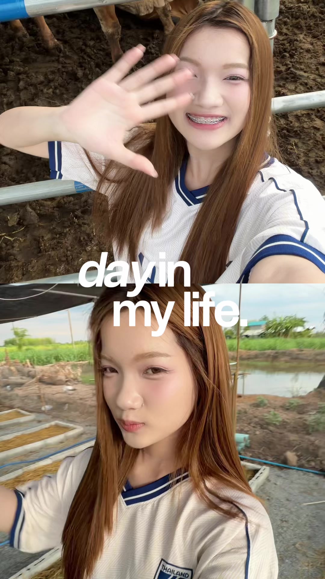 @porborrr