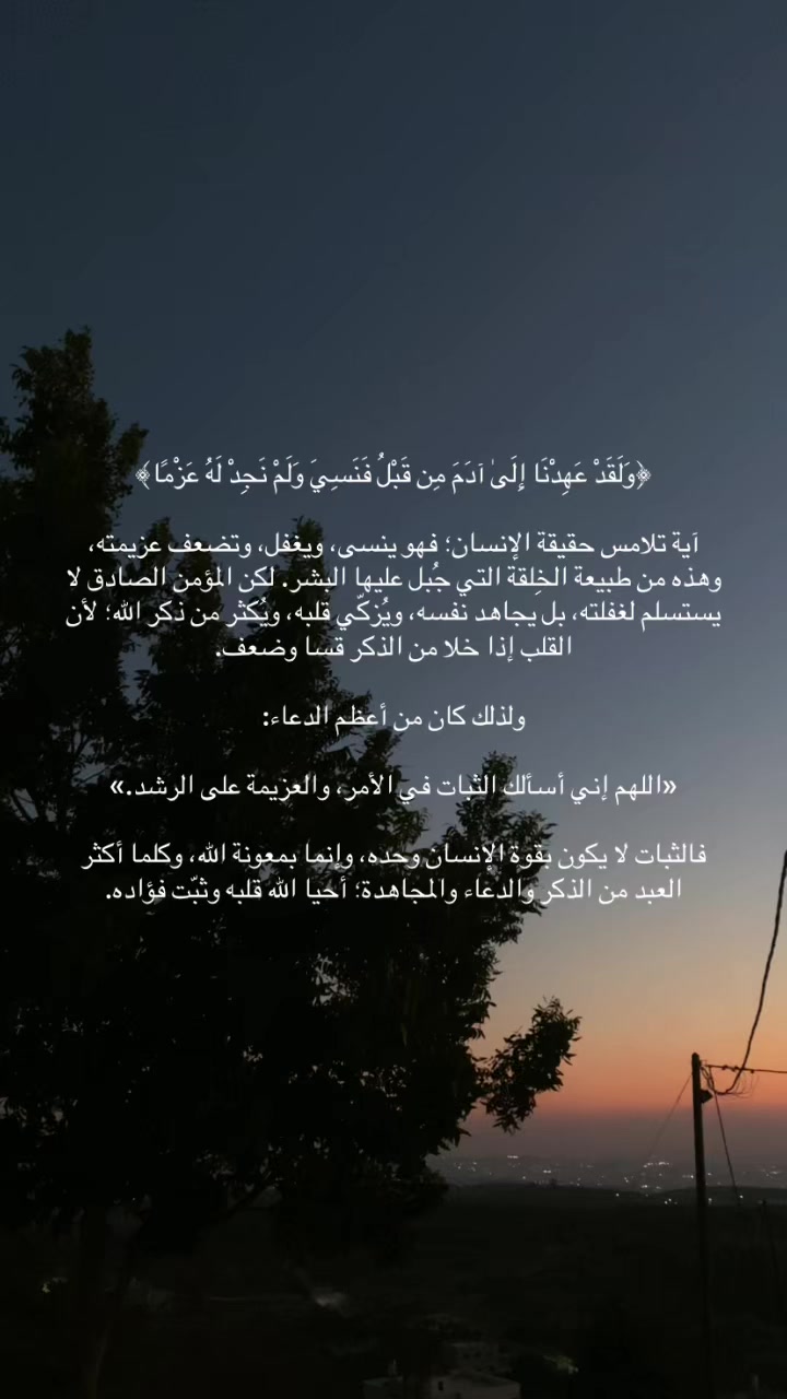 @mariam kittaneh