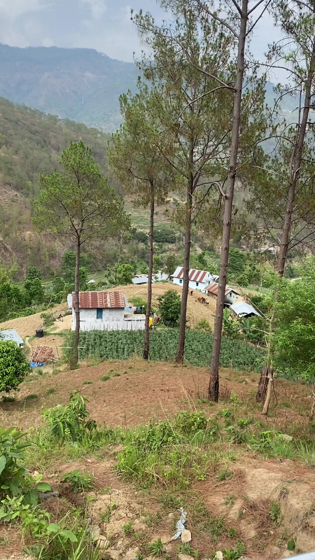 @RAM&ensp;KARKi🇳🇵🇰🇷