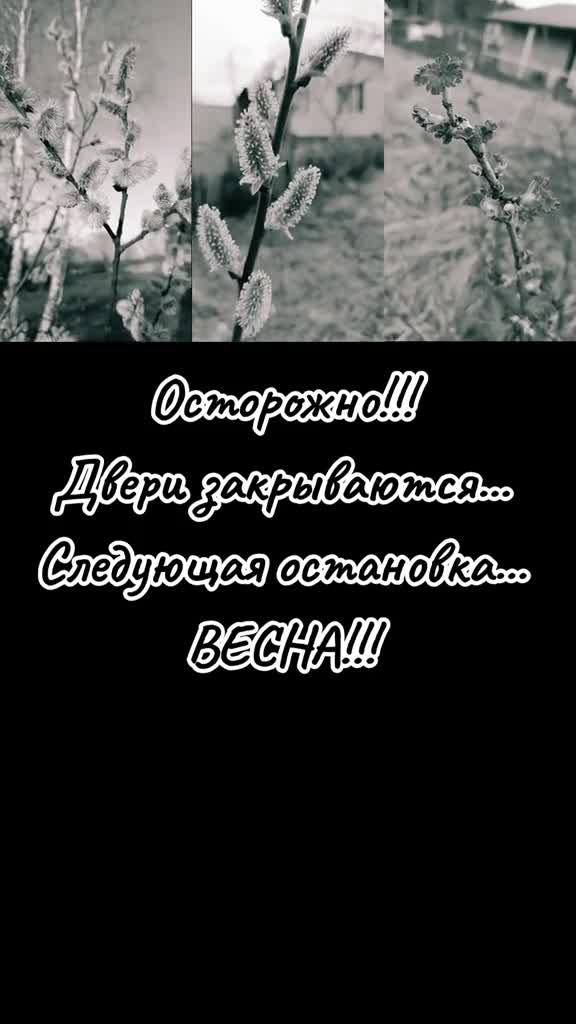 @Lesya Bronzova