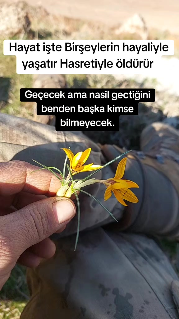 @𝐌𝐘 𝐋𝐈𝐅𝐄 𝐌𝐘 𝐑𝐔𝐋𝐄𝐒