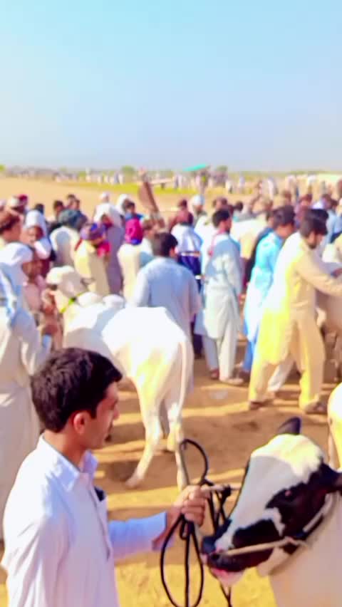 @Bilal Safdar