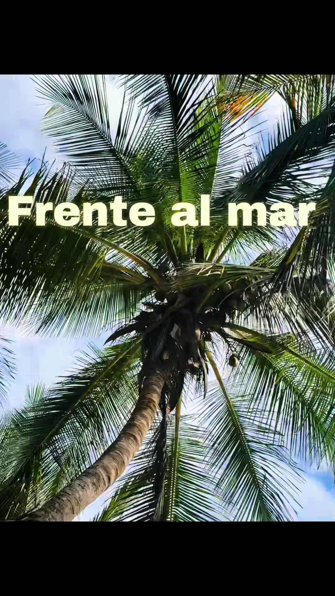 @choroni para ti