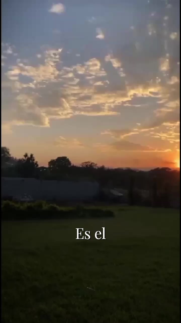 @dania💫🌷 López🤍🌷🤍🌷