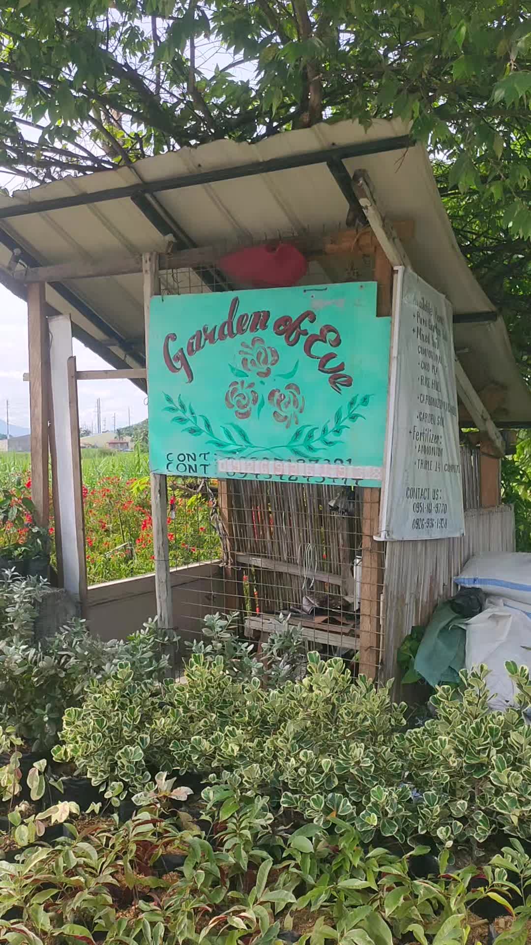 @Beautiful Garden of Eve