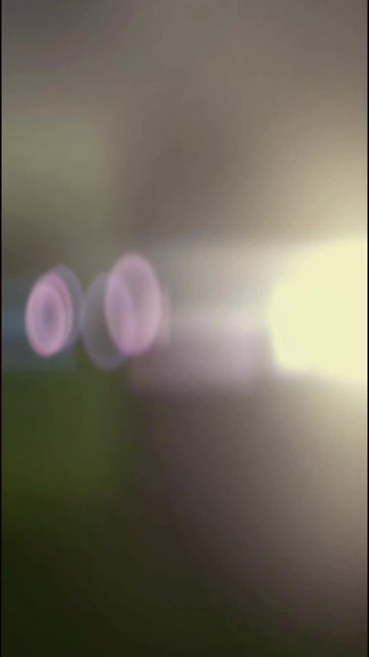 @๐ฑ ๐ธ๐๐๐ ๐ธ๐๐๐๐๐ ๐ญ