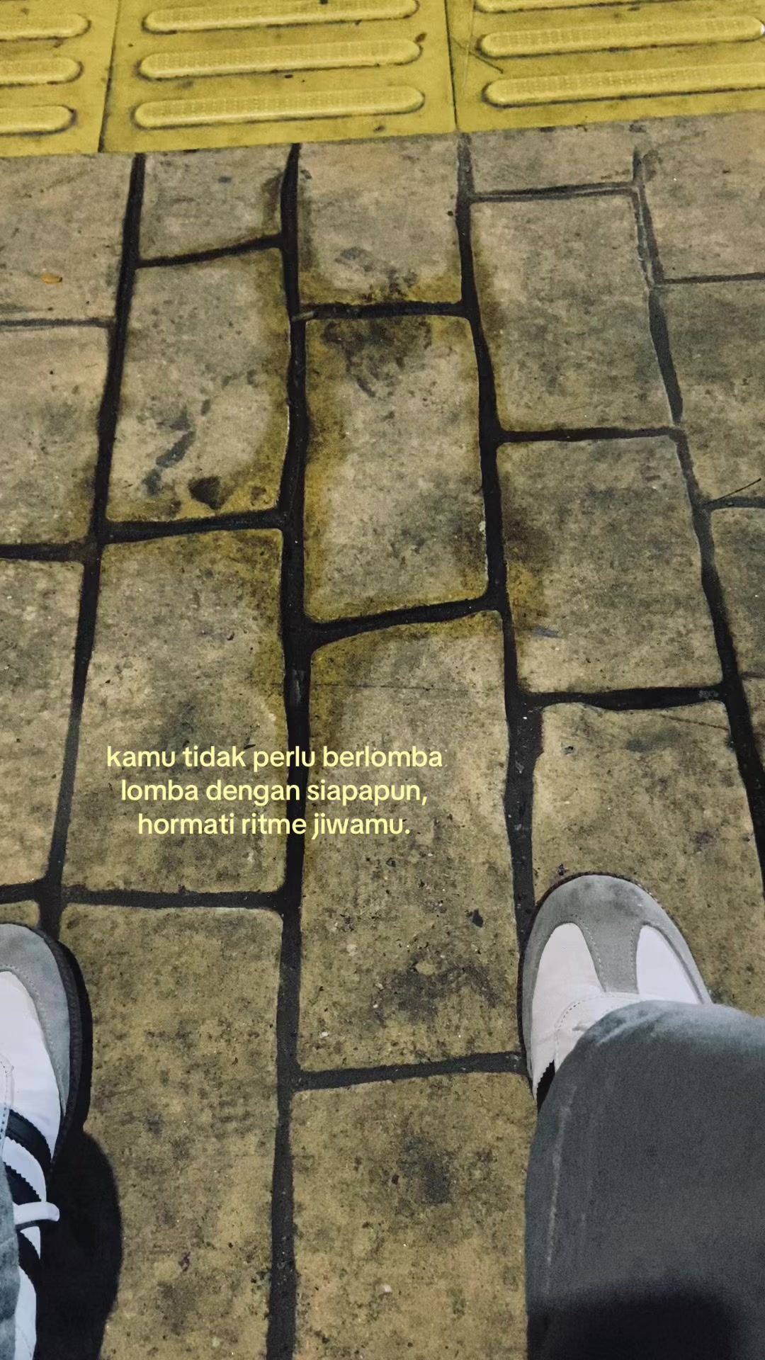 @ig. apinnofr_