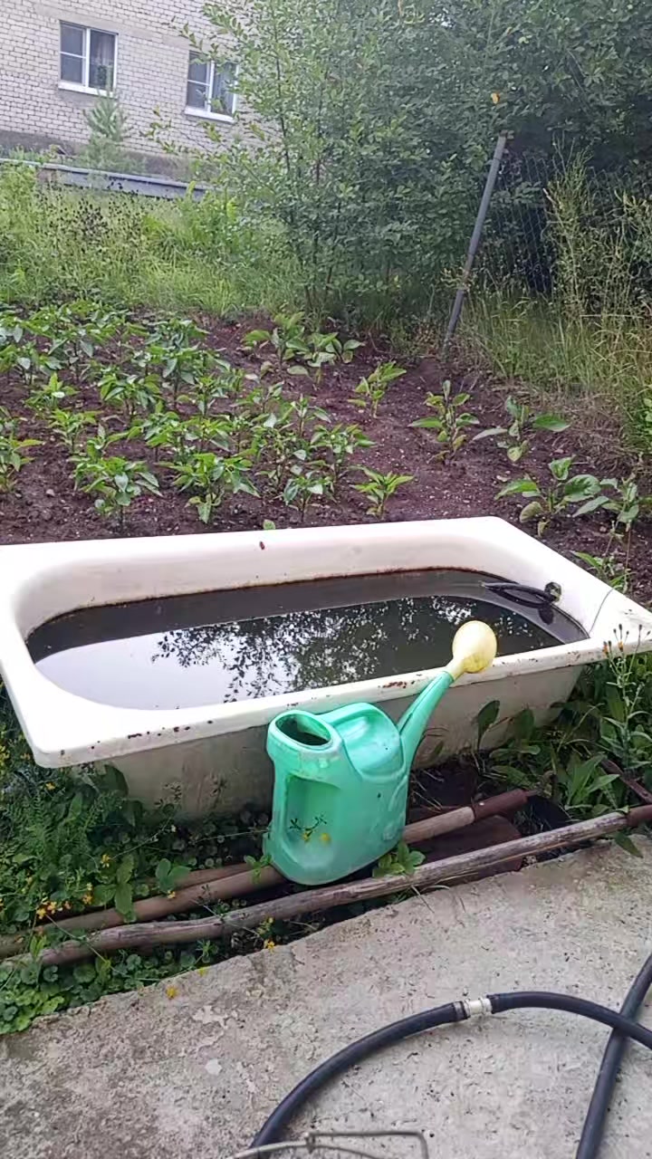 @Татьяна