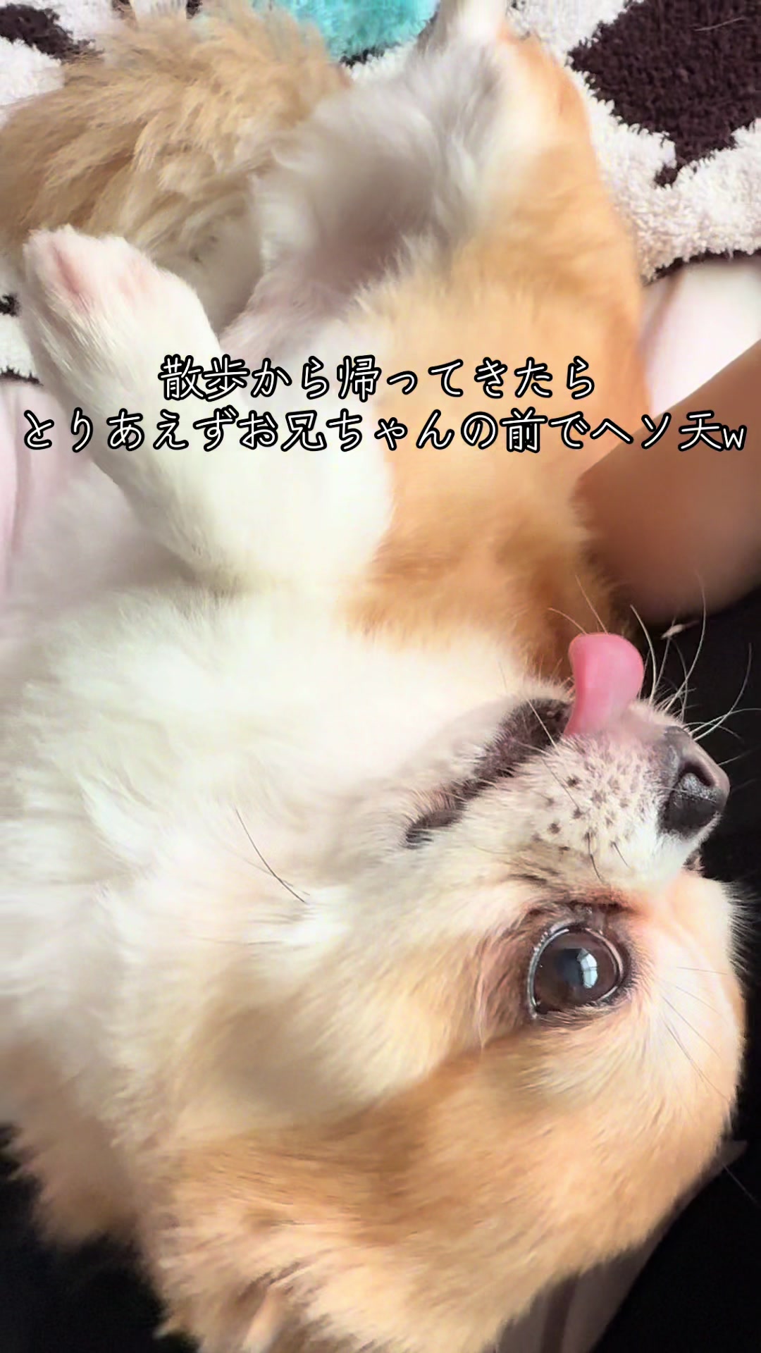 @心太