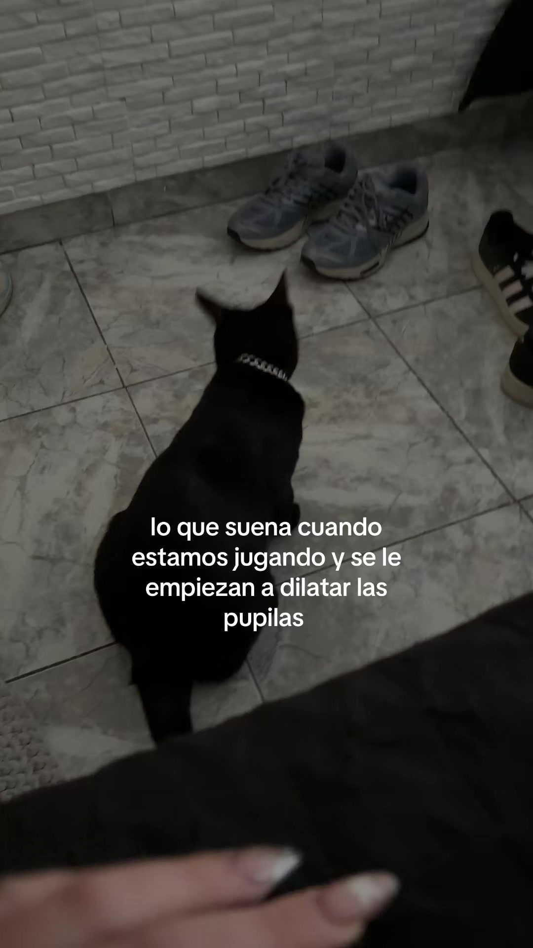 @yopolinaa_