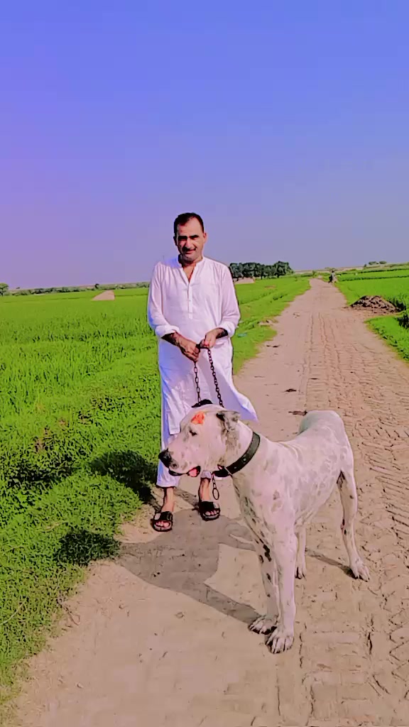 @گادیNNS