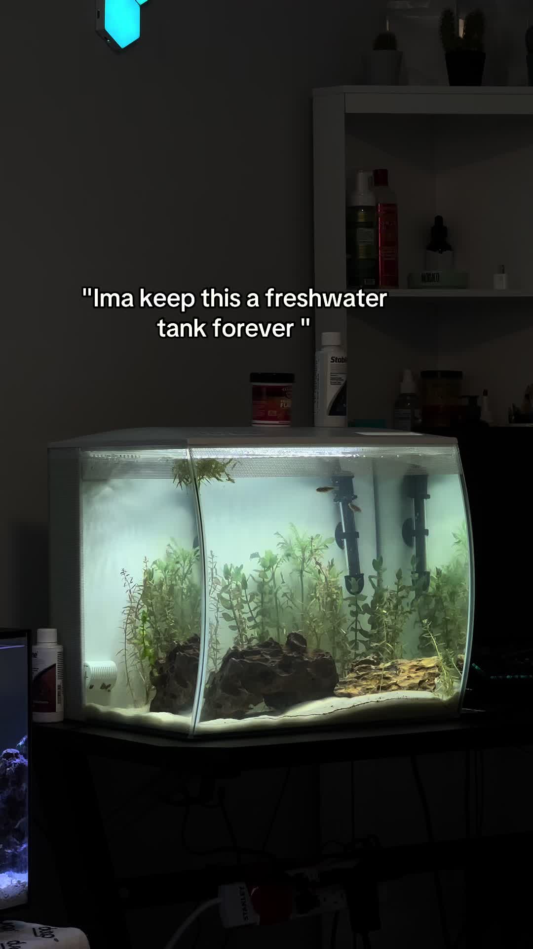@ReefSync