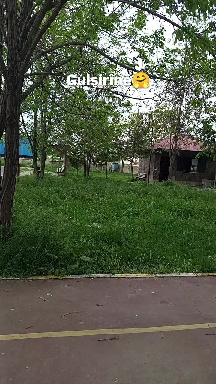 @Bulanık Gen&ccedil;lik