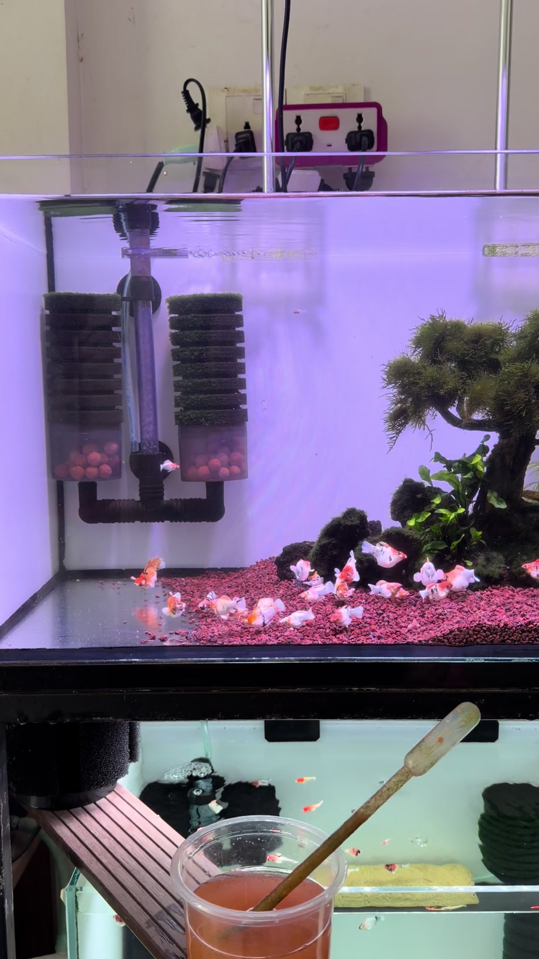 @tiny.fish.home1