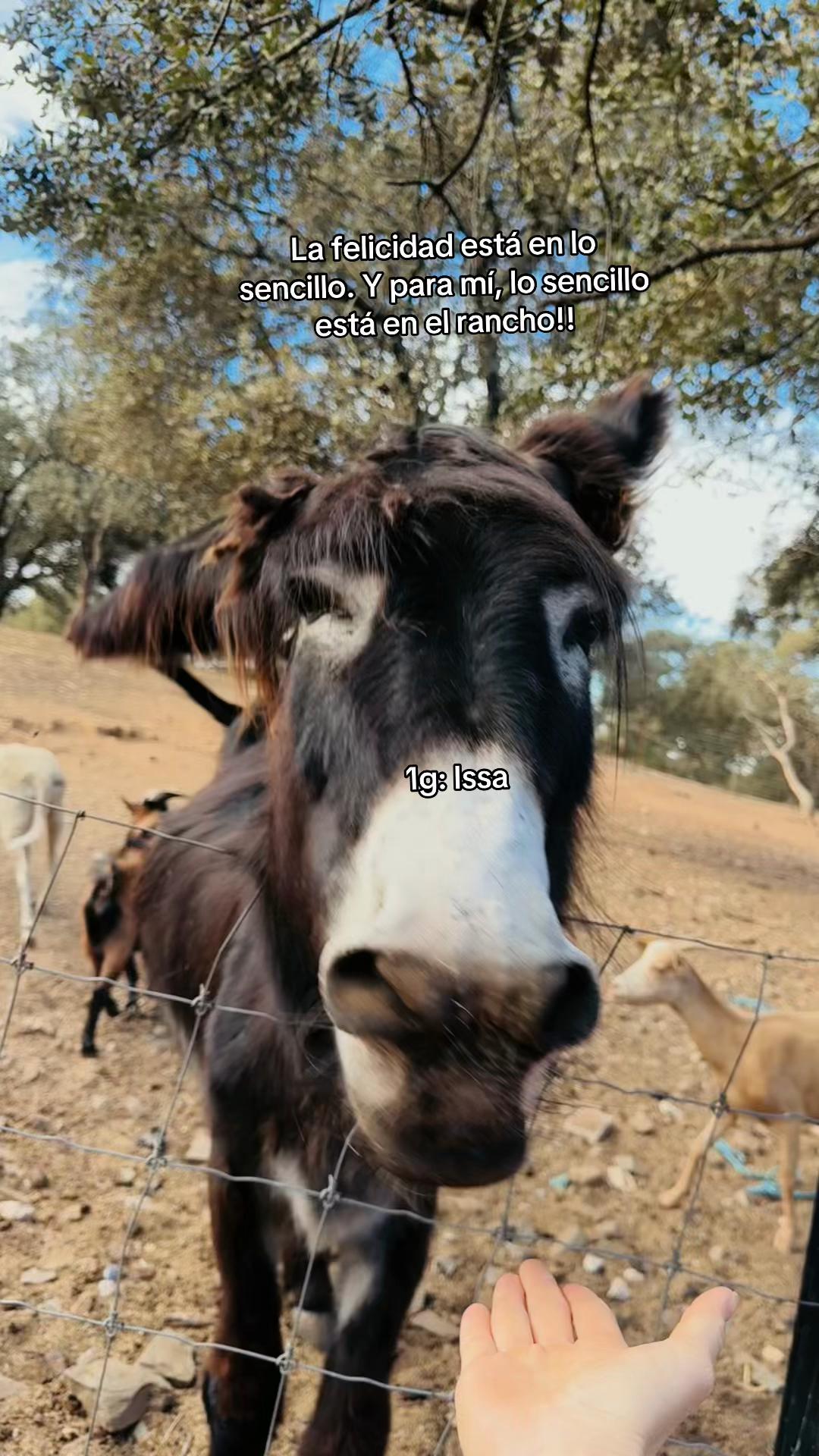 @Issa- SA! 😹✨🕸️