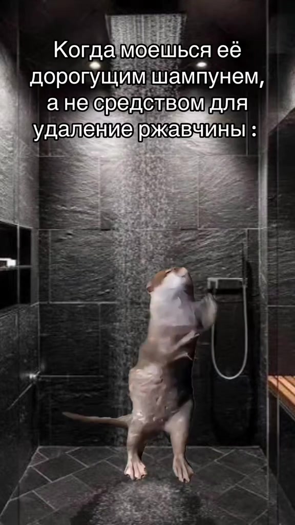 @Radmil