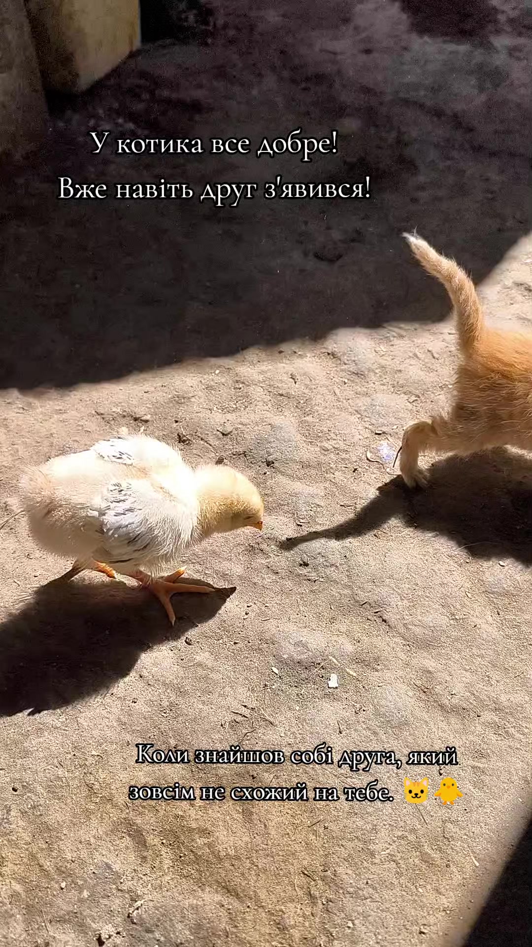 @Miroslava