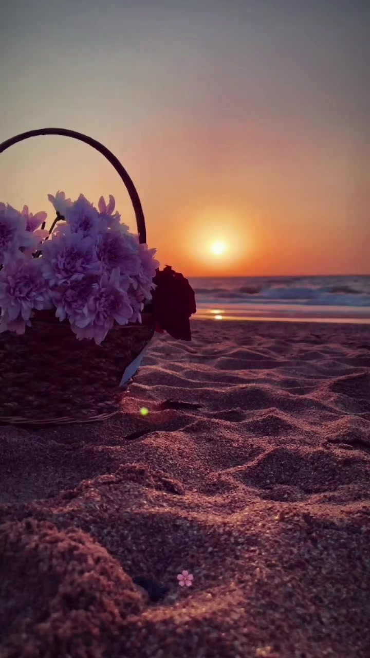 @꒰ঌ🌸໒꒱
