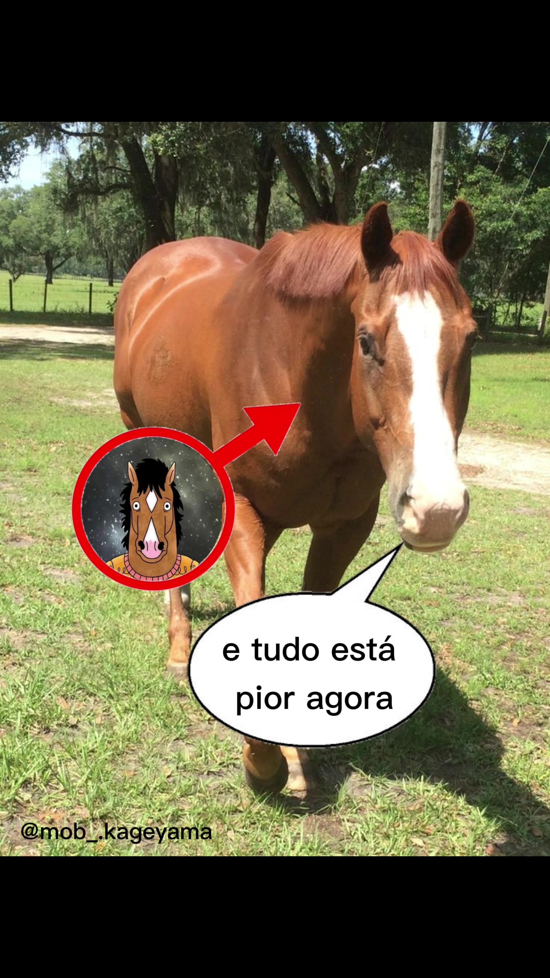 @Shigeo