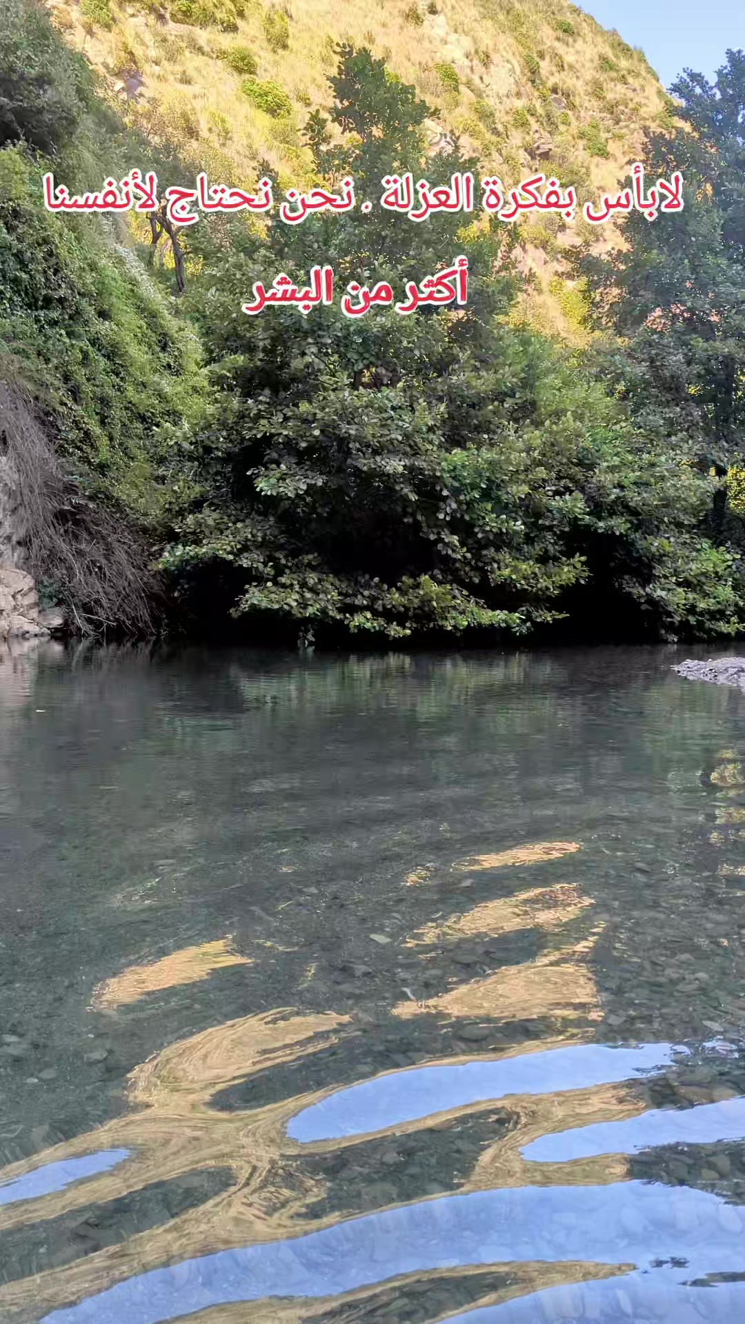 @๐ฆ
๐ ุงูุฃุตูู ๐๐ฆ