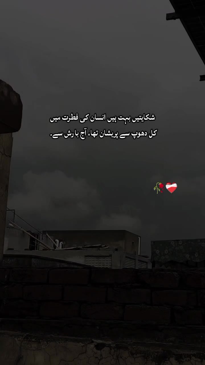 @HAmza Rajpoot 🇵🇰