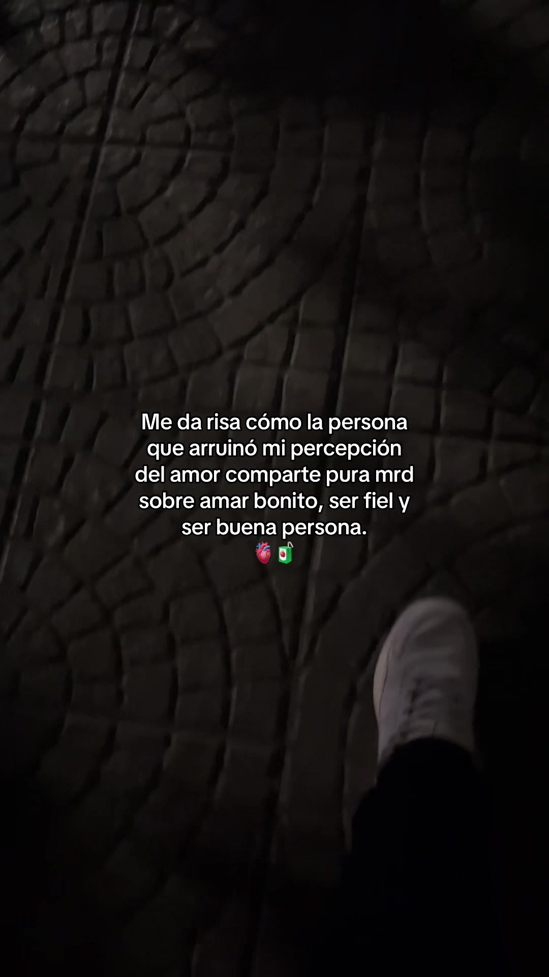 @Gatocix 🐱