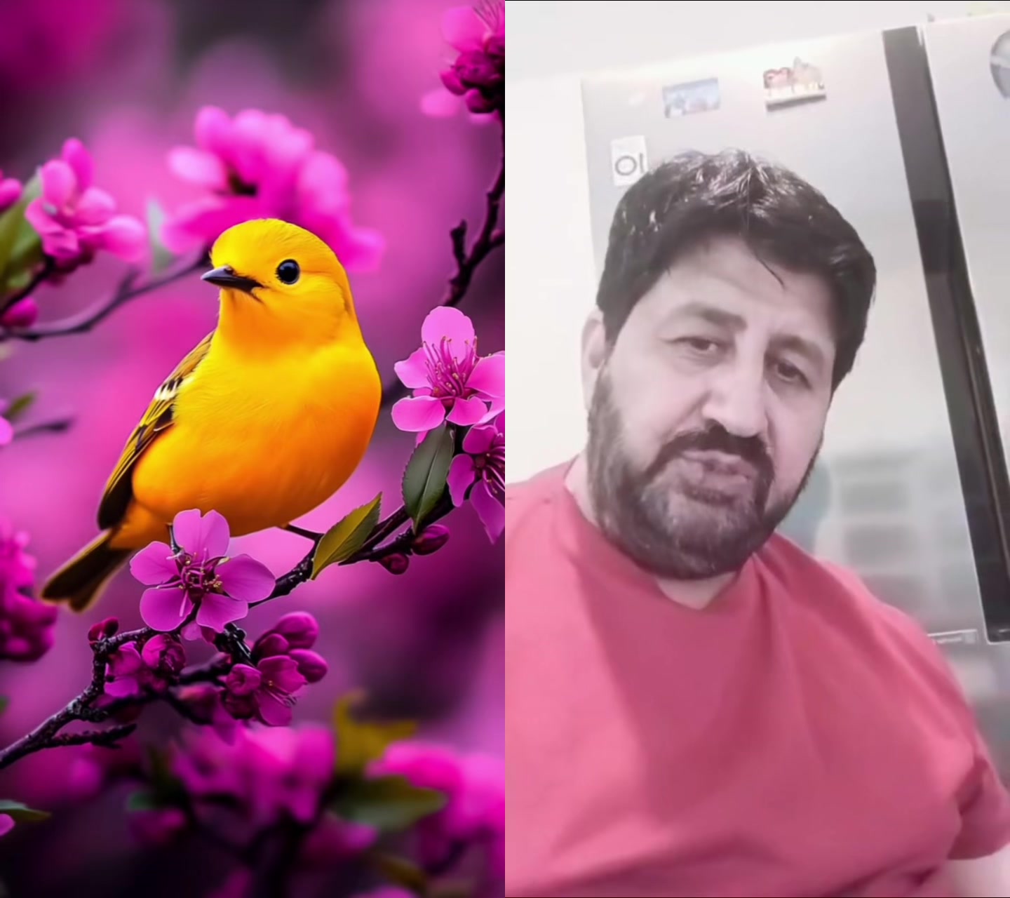 @Team.Nasir.Butt Jhelum
