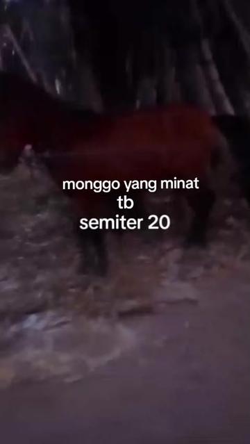 @🔥bAnG uCup SakErA🔥