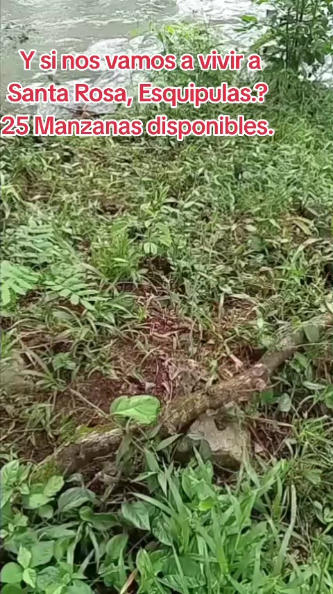 @Josseligurbina429