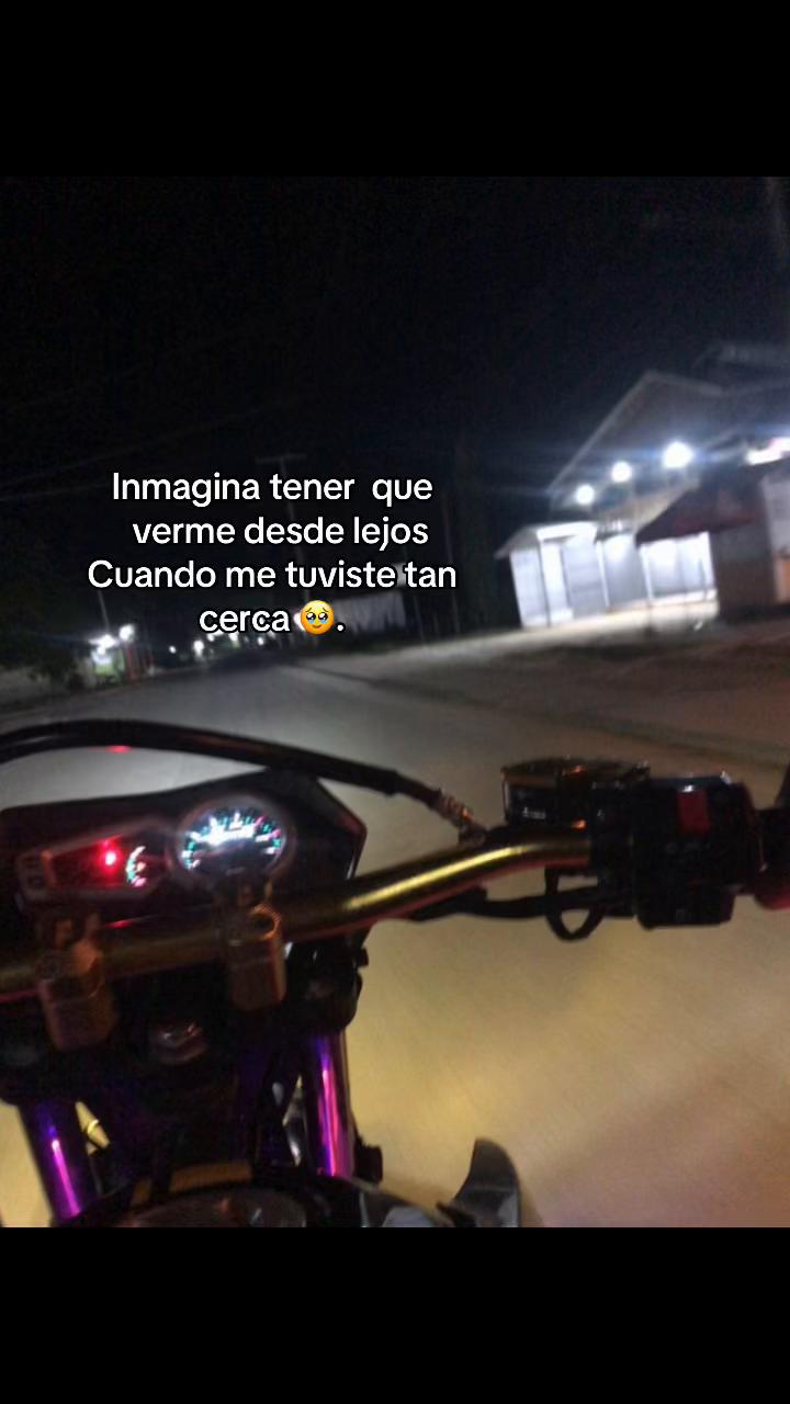 @🦥 Treminio 🦧