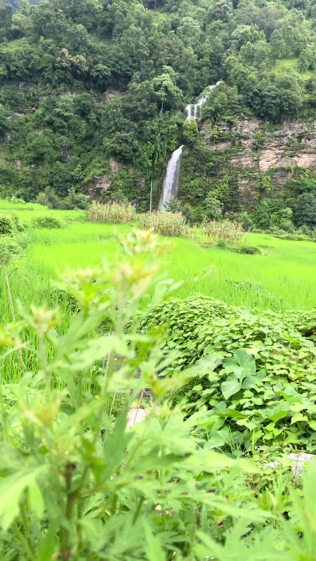 @Sudhir Jung Thapa
