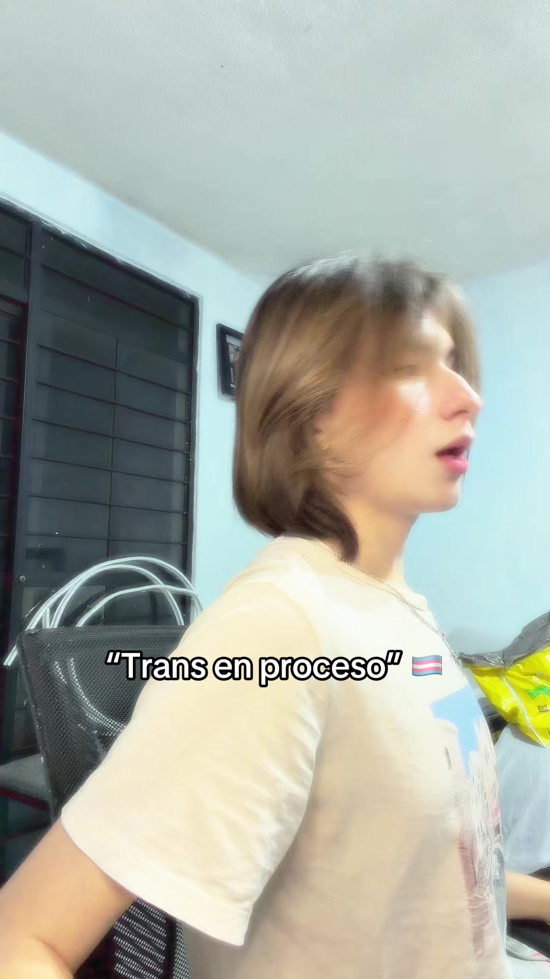 @pollitaloes