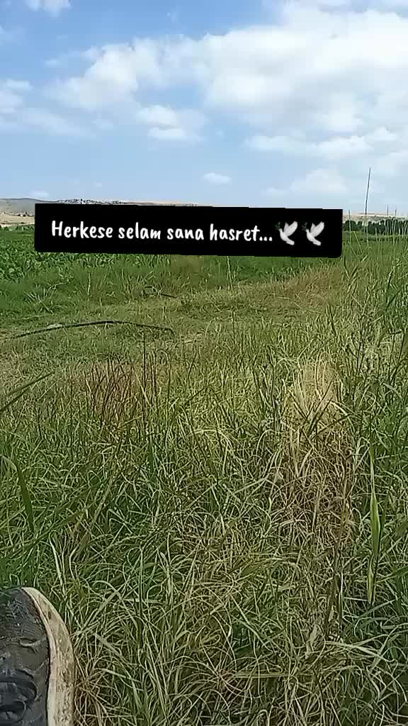 @hükümzüzz🕊