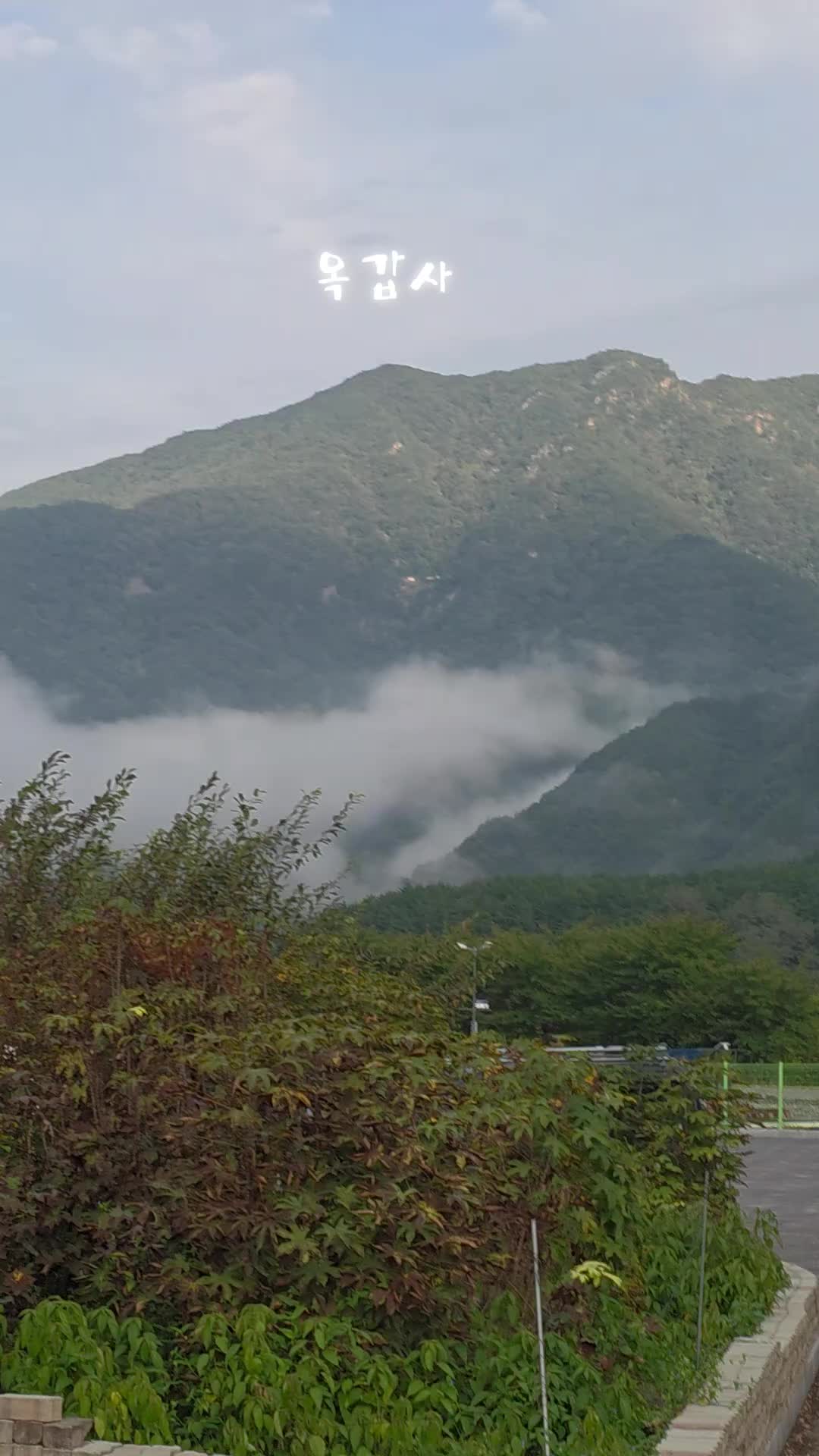 @유튜브 "정선사람들" 안용현
