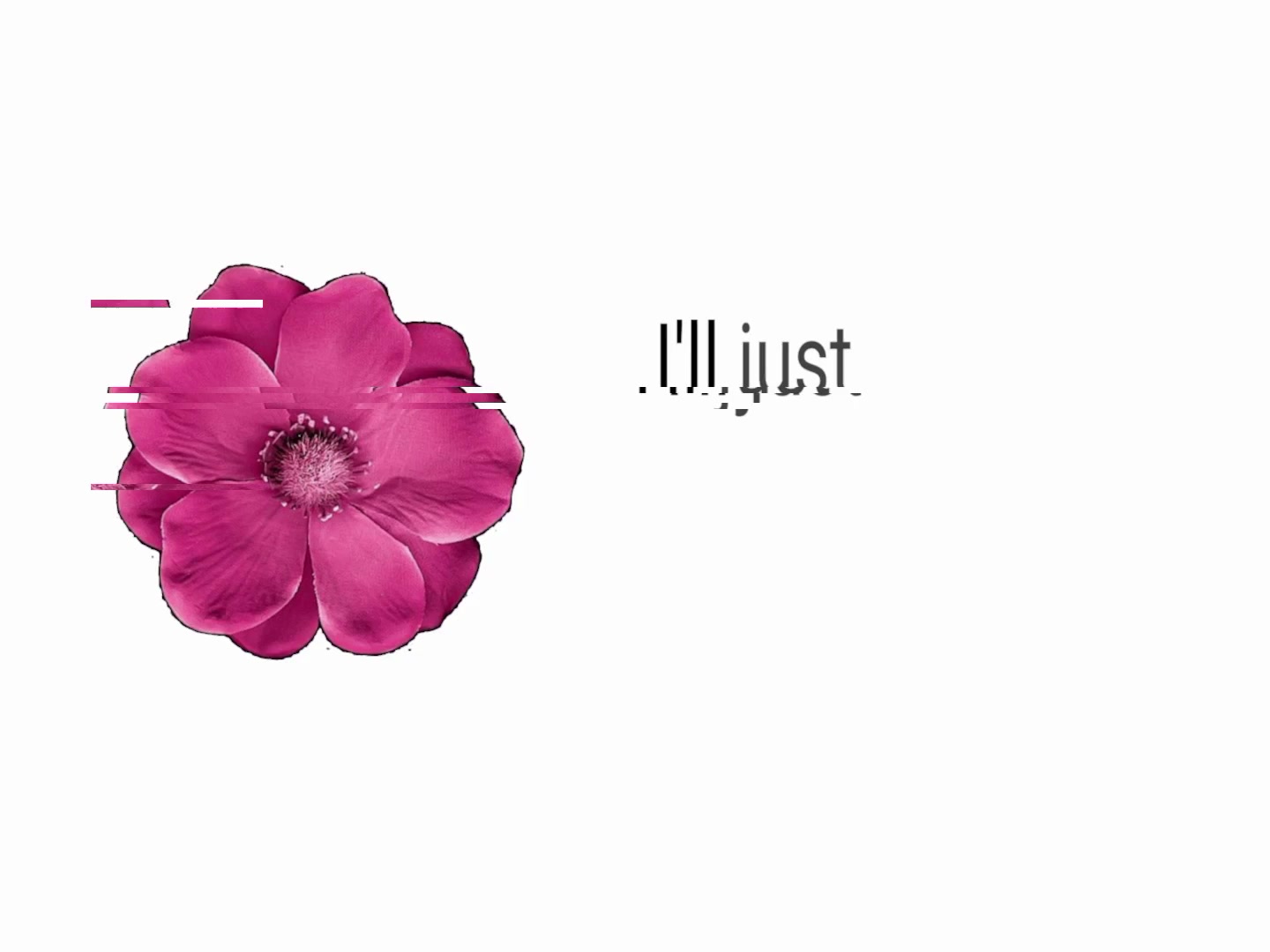@︎ ︎ ︎ ︎ ︎︎︎︎︎︎︎︎︎︎︎Jed ︎ ︎ ︎ ︎