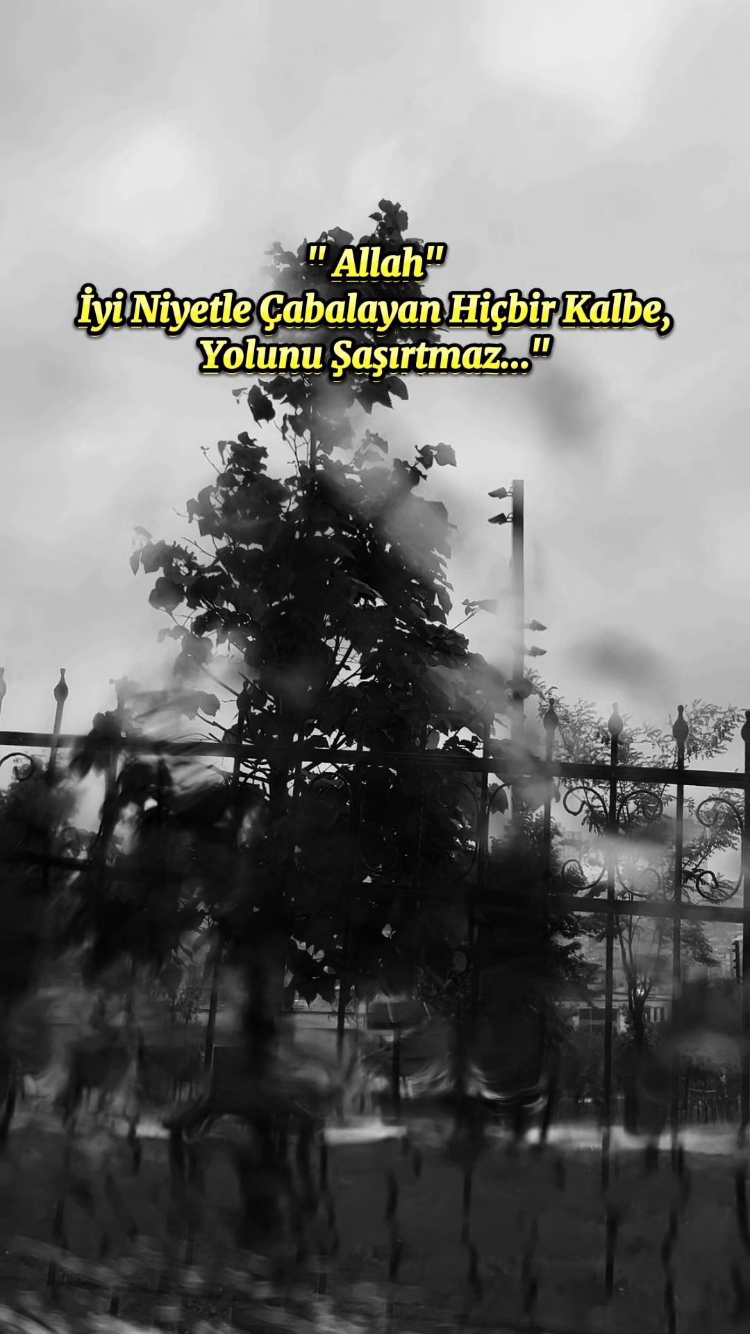 @🌹★★ SERCENİN_GÖZ_YAŞI ★ ★🌹