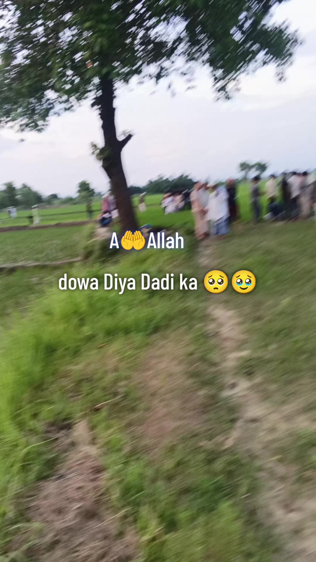 @Raja ko Rani