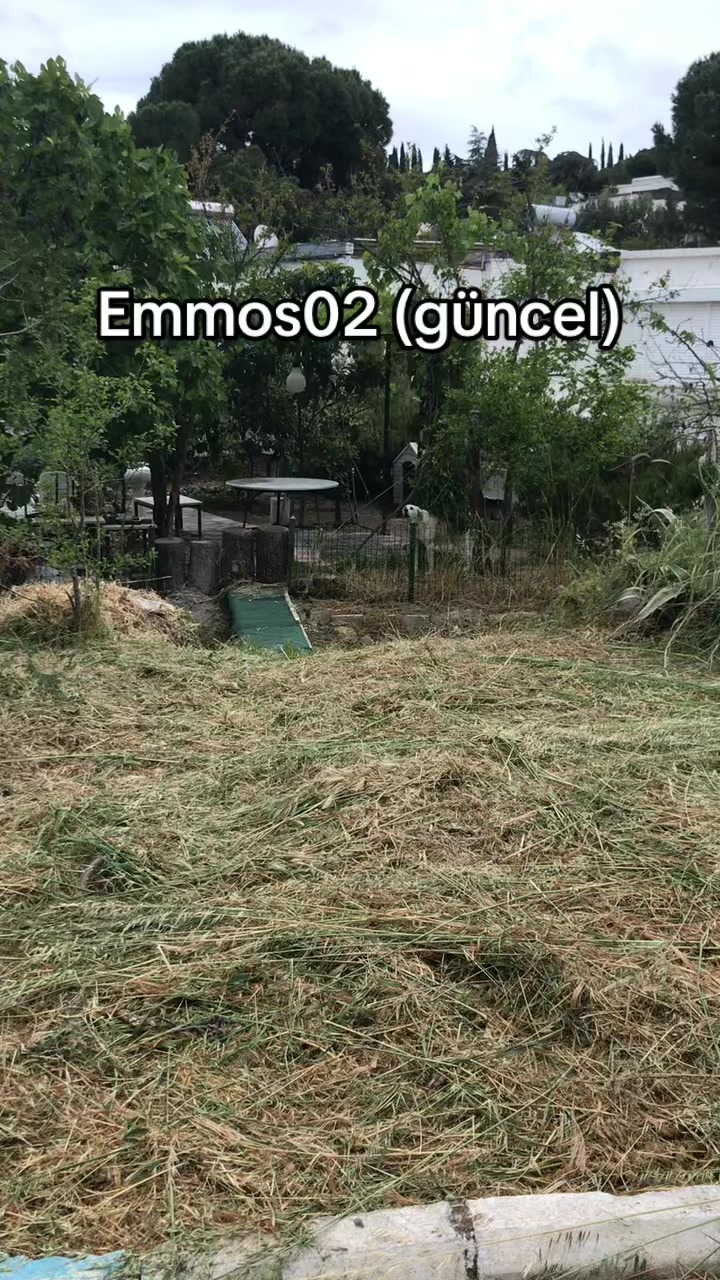 @Emmos02