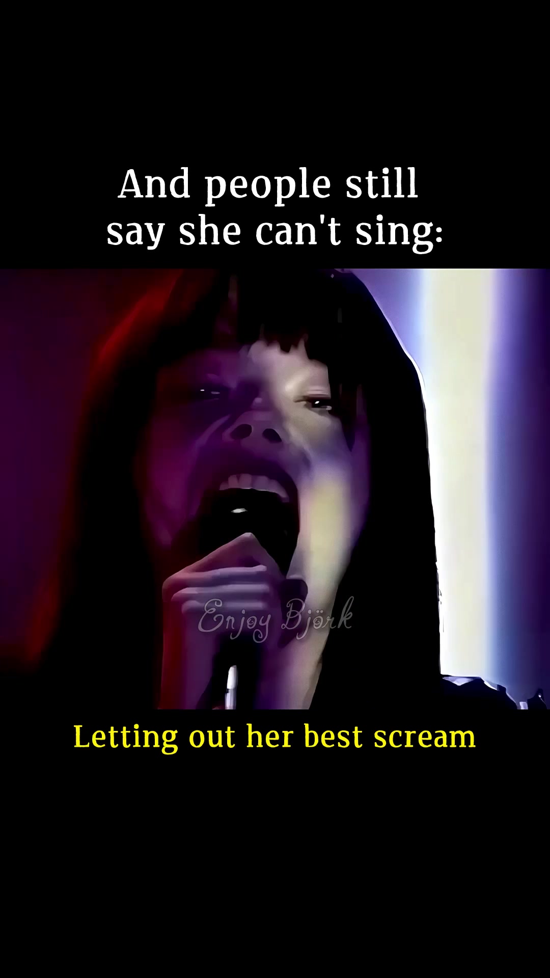 @Enjoy Bj&ouml;rk