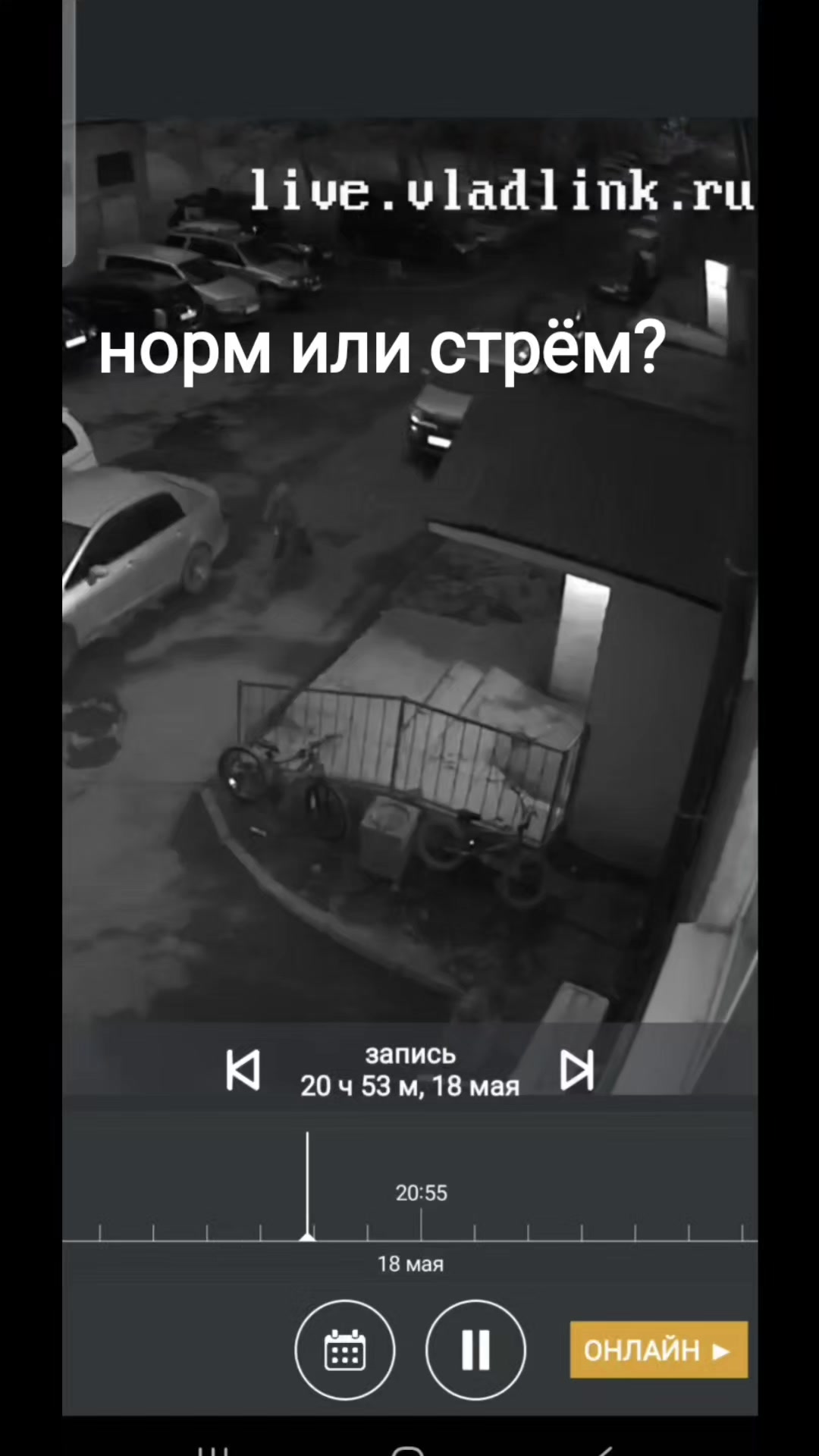@Татьяна Клим