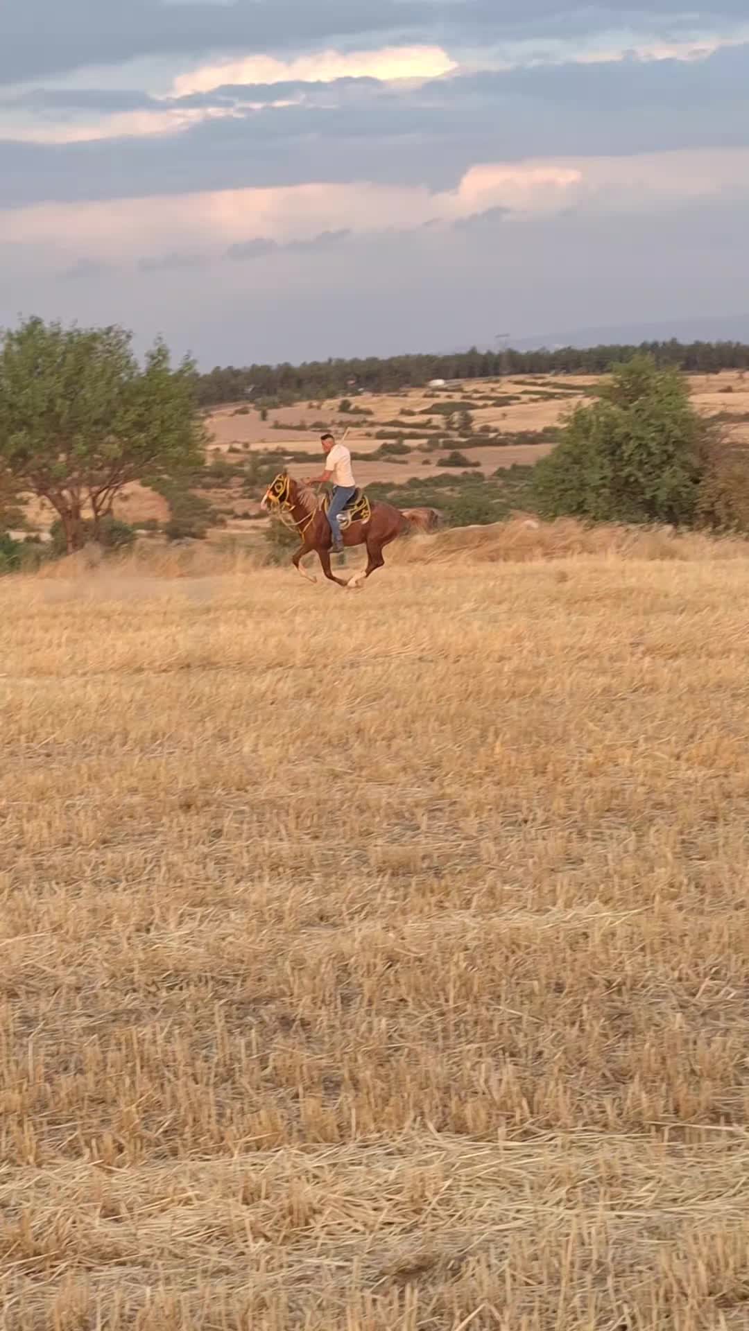 @H&uuml;seyin.cıbır