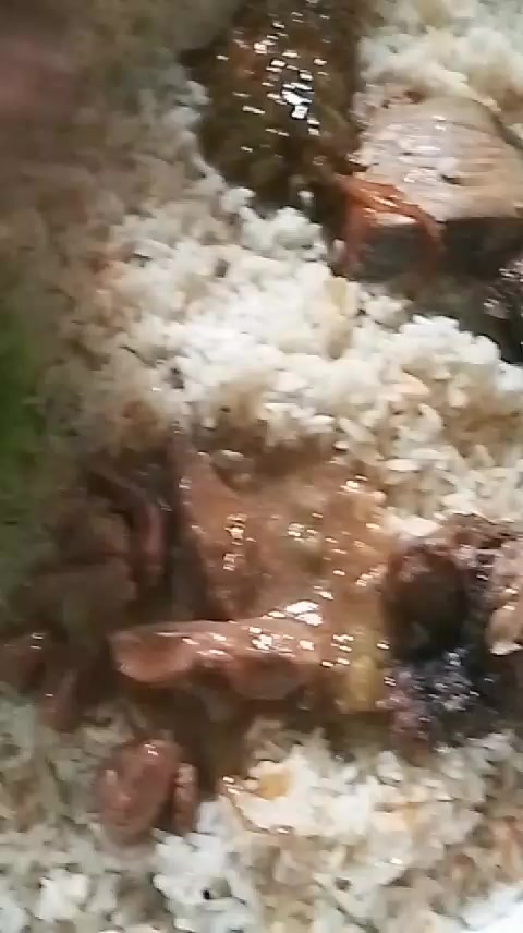 @suunaari12