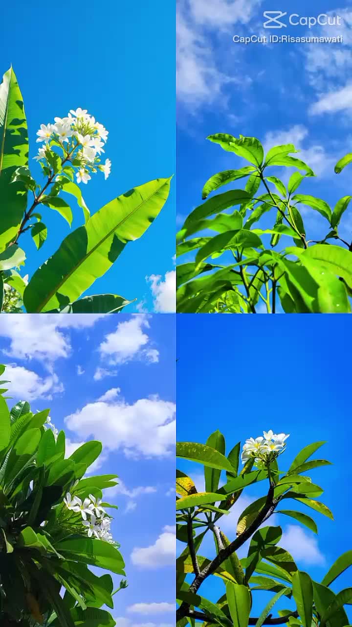 @𝑴𝒊𝒔𝒔 💫𝑩𝒆𝒔𝒕𝒊𝒆👅👄