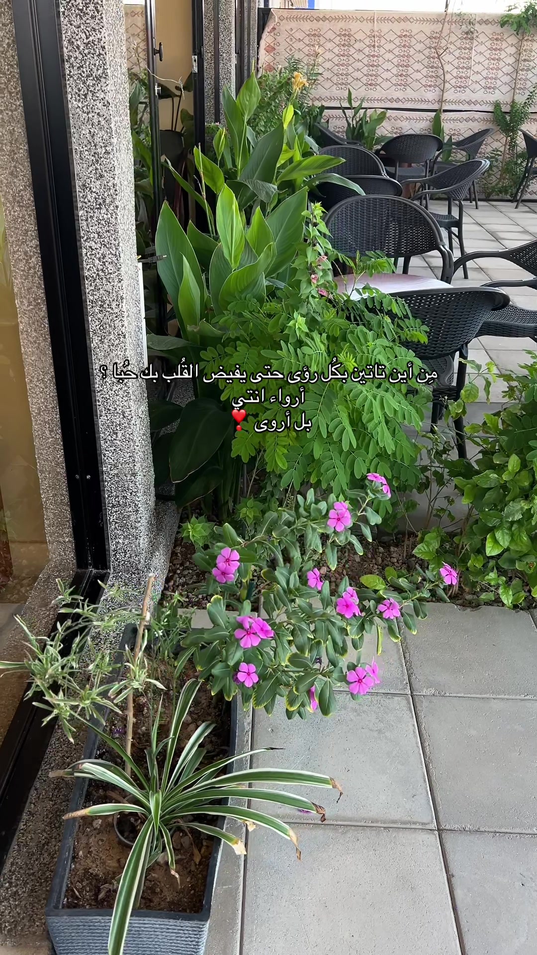 @Blogger|أروى 🥥