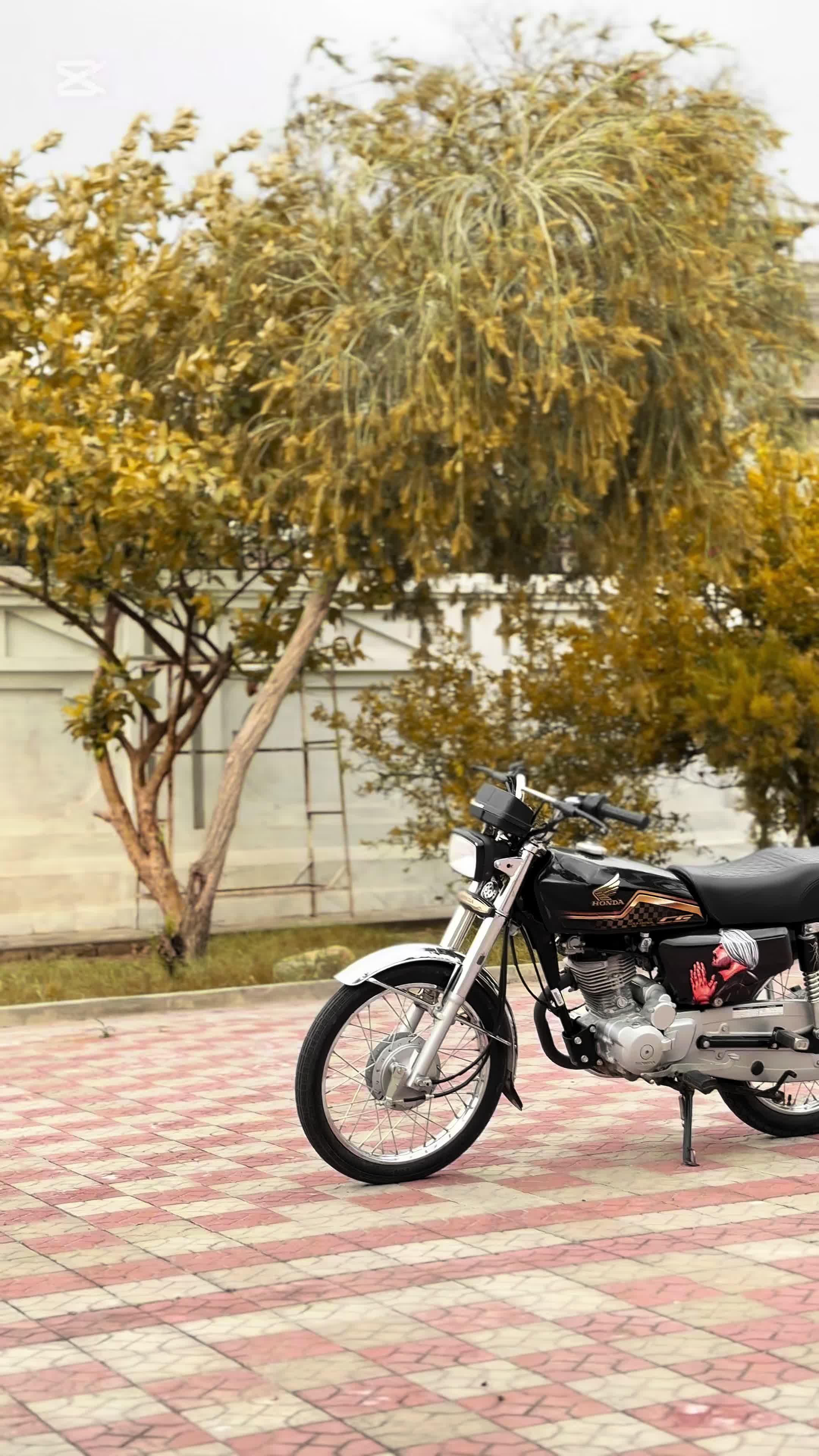 @𝑵𝑶𝑶_𝑾𝑨𝒀⚜️