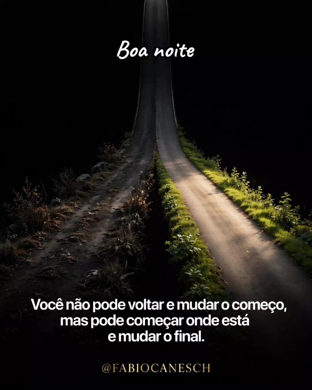 @Fábio caneschi de Oliveira