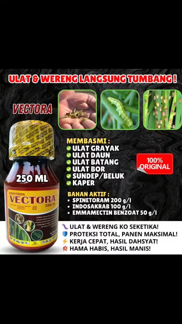 @Awig Shop Jaya Santosa