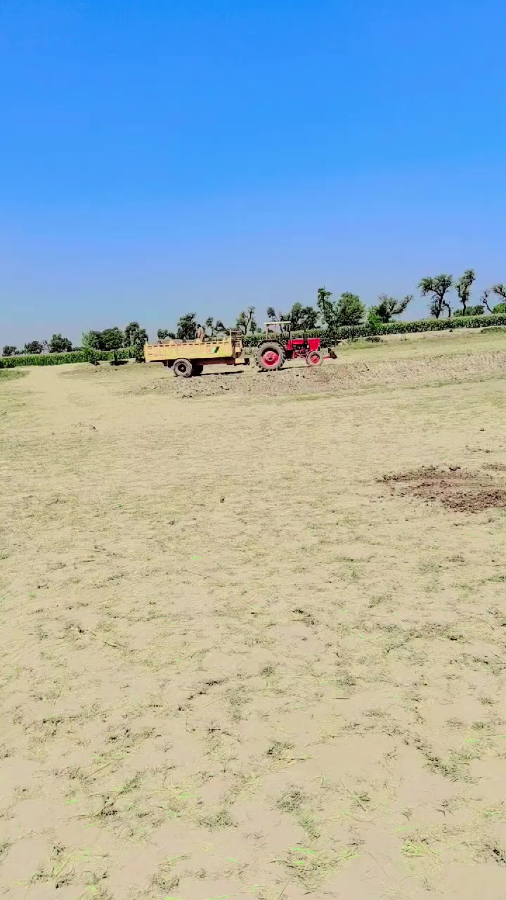 @Mashtaq Ali, JUTT333