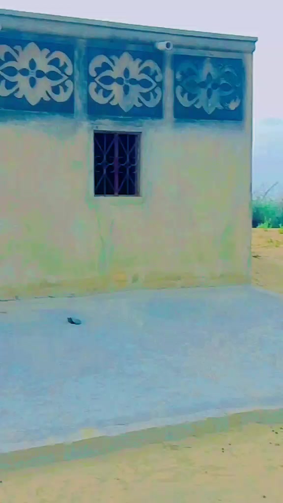 @Salhoo bheel